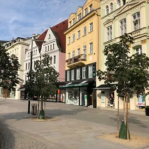  Apartmán Orchidej U Vřídla Česká republika
